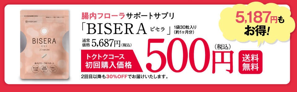ビセラ 500 円